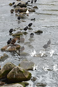 快贷宝下载安装打不开咋还款呀-快贷宝下载安装打不开咋还款呀怎么回事