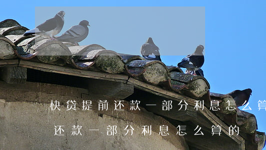 快贷提前还款一部分利息怎么算-快贷提前还款一部分利息怎么算的