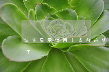 快贷显示信用卡当前逾期(卡信速贷说我逾期了)