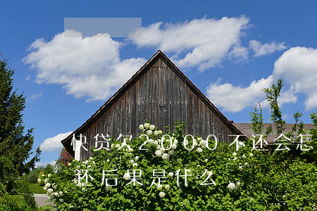 快贷欠2000不还会怎样(快贷欠两千多不还后果是什么)