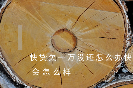 快贷欠一万没还怎么办(快贷一千多块钱没还会怎么样)