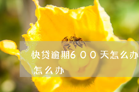 快贷逾期600天怎么办(快贷逾期600天怎么办)