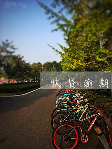 快贷逾期一天怎么办(快贷逾期一天都不行吗)