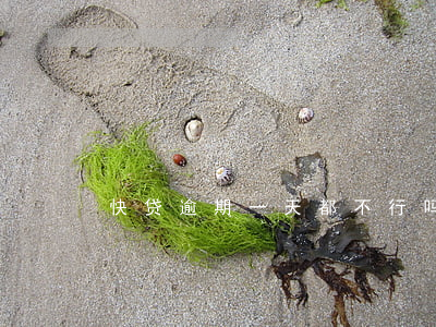 快贷逾期一天都不行吗(快贷延迟一天有逾期)