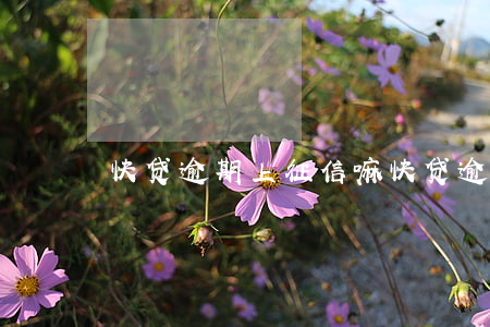 快贷逾期上征信嘛(快贷逾期了有什么影响)