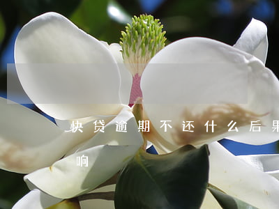 快贷逾期不还什么后果（快贷逾期了有什么影响）