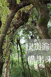快贷逾期两天还能再借吗(快贷逾期一天还能借出来吗)