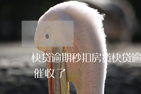 快贷逾期秒扣房贷(快贷逾期一年多了又开始催收了?)