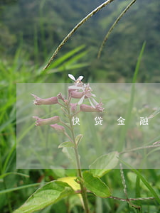 快贷金融逾期被起诉的有没-银行快贷逾期