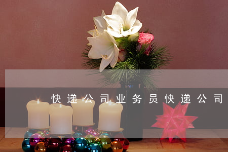 快递公司业务员(快递公司业务员管理制度)