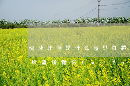 快速理賠是什么意思具體是怎樣的（快速理賠和普通保險(xiǎn)的區(qū)別是什么）