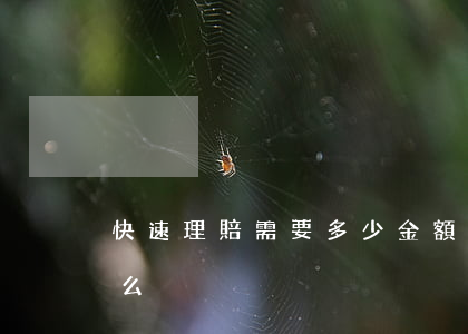 快速理賠需要多少金額受理(快速理賠需要什么)