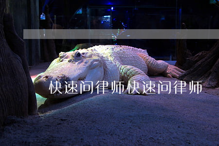 快速问律师(快速问律师)