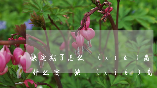 快逾期了怎么協(xié)商還款(逾期后為什么要盡快協(xié)商)