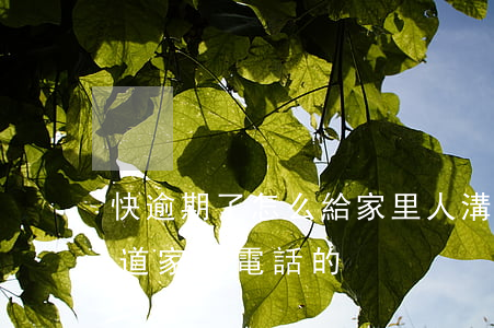 快逾期了怎么給家里人溝通-逾期后怎么知道家人電話的