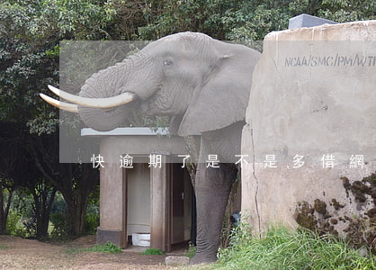 快逾期了是不是多借網(wǎng)貸