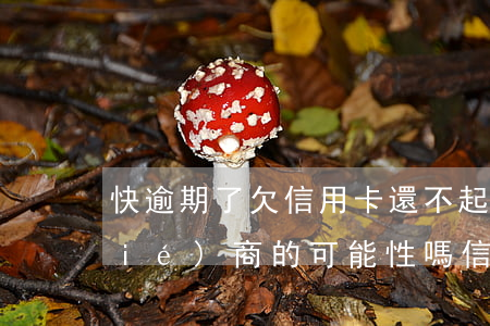 快逾期了欠信用卡還不起跟銀行能有協(xié)商的可能性嗎（信用卡逾期了銀行會(huì)找你協(xié)商嗎）
