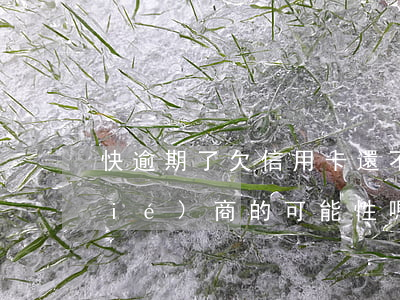 快逾期了欠信用卡還不起跟銀行能有協(xié)商的可能性嗎（信用卡逾期半年是如何協(xié)商還款）