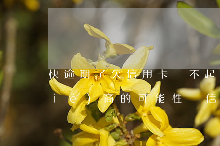 快逾期了欠信用卡還不起跟銀行能有協(xié)商的可能性嗎（信用卡逾期立案還能協(xié)商還款嗎）