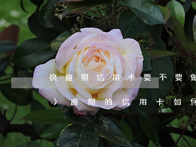 快逾期信用卡要不要做分期 已經(jīng)逾期的信用卡如何辦理分期