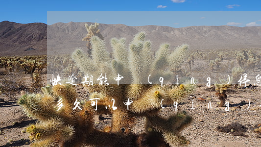 快逾期能申請(qǐng)停息掛賬嗎(逾期多久可以申請(qǐng)停息掛賬)