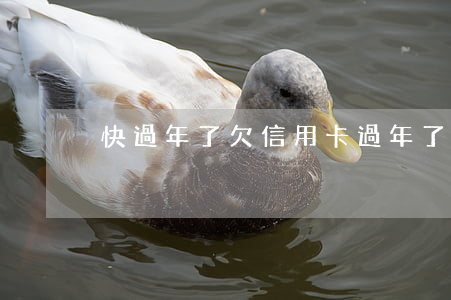 快過年了欠信用卡（過年了信用卡都還不起）