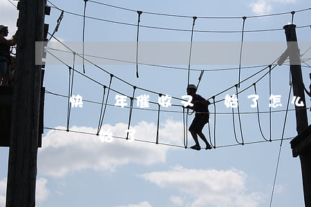 快過年催收又開始了怎么投訴（快過年催收又開始了）
