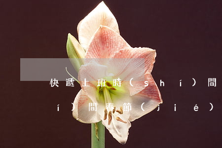 快遞上班時(shí)間(快遞上班時(shí)間春節(jié))