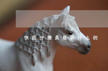 快遞分揀員是做什么的