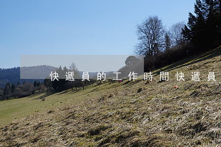 快遞員的工作時間(快遞員的工作時間表)