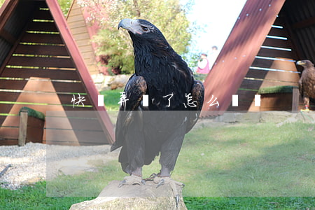快遞弄丟了怎么賠償