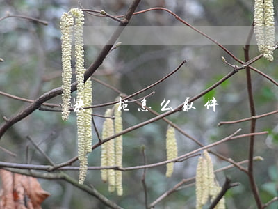 快遞柜怎么取件