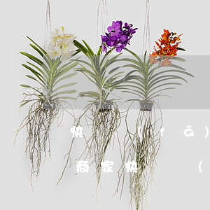 快遞發(fā)錯(cuò)地址了怎么辦(商家快遞發(fā)錯(cuò)地址了怎么辦)