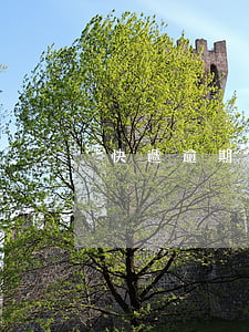 快遞逾期怎么投訴(快遞逾期怎么投訴快遞員)