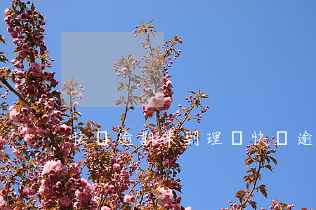 快遞逾期未到理賠(快遞逾期未到理賠怎么辦)