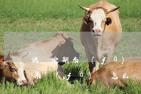 快遞逾期未發(fā)貨怎么辦-快遞逾期未發(fā)貨怎么辦理