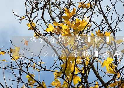 快金逾期7天還款會(huì)怎樣(現(xiàn)金快貸逾期3年了怎么辦)