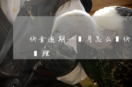 快金逾期一個月怎么辦(快金逾期一個月怎么辦理)