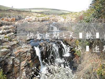 快金逾期七天還款會(huì)怎樣(現(xiàn)金快貸逾期3年了怎么辦)