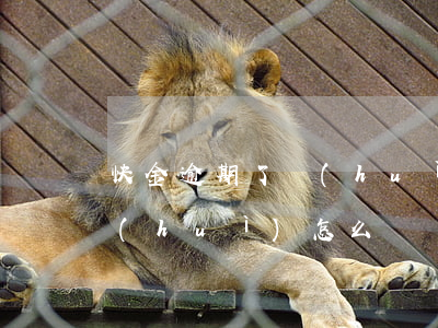 快金逾期了會(huì)怎么樣(快貸逾期會(huì)怎么樣,會(huì)不會(huì)打電話)