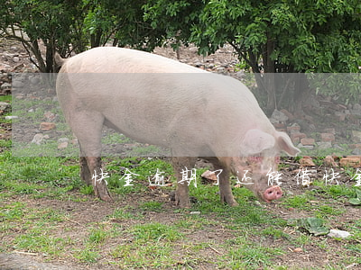 快金逾期了还能借(快金逾期了还能借出来吗)