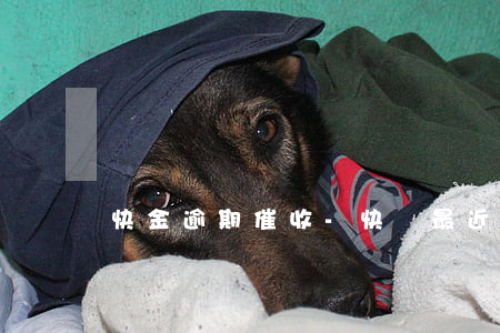 快金逾期催收-快貸最近催收