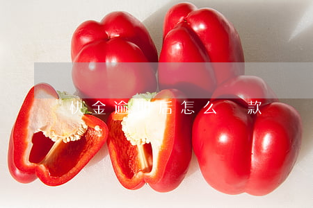 快金逾期后怎么還款嗎