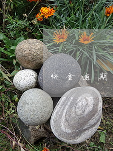 快金逾期诉讼(快金逾期诉讼)