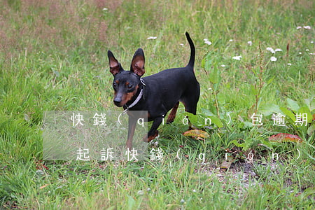 快錢(qián)包逾期多久會(huì)起訴(快錢(qián)錢(qián)包逾期三年了,突然收到短信說(shuō)上門(mén))