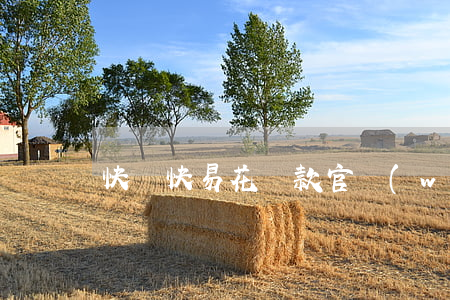 快錢快易花還款官網(wǎng)