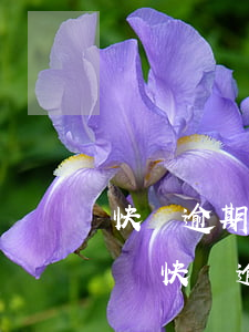 快錢逾期六個(gè)月會(huì)上門嗎(快貸逾期3年今天收到一條信息說(shuō)是上門)