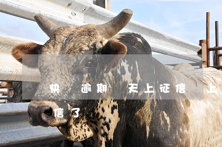 快錢逾期幾天上征信(馬上金融逾期三天上征信了)