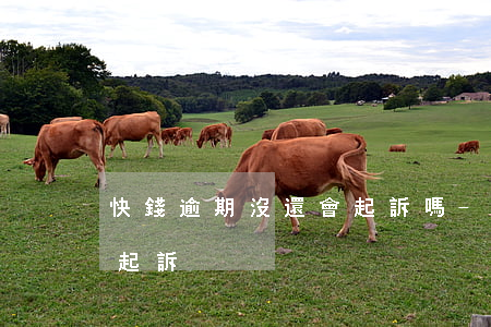 快錢逾期沒還會起訴嗎-快貸逾期會不會被起訴