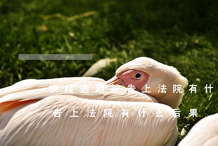 快錢逾期被告上法院有什么后果(快錢逾期被告上法院有什么后果)